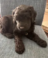 processed/17b771de-1f2b-4567-8c9e-b8431f2090d3/listing/eb38f5bf-a294-4863-b551-db10e9844f49/af072640-3162-4cee-8599-4004cfba6224