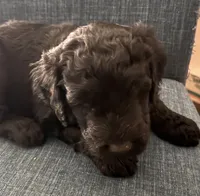 processed/17b771de-1f2b-4567-8c9e-b8431f2090d3/listing/eb38f5bf-a294-4863-b551-db10e9844f49/db442318-b17c-425a-8d85-55cac84f0a8f