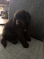 processed/17b771de-1f2b-4567-8c9e-b8431f2090d3/listing/eb38f5bf-a294-4863-b551-db10e9844f49/fdd95bc8-0b70-4c81-8cd6-42f462b82778