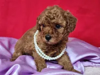 processed/17c49da2-648a-49db-8477-6e562bbe6811/listing/0c760c71-dda5-4a1e-9dff-105a763e8c36/1d3de719-d21c-49e8-bb69-e189e73b18c3