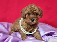 processed/17c49da2-648a-49db-8477-6e562bbe6811/listing/0c760c71-dda5-4a1e-9dff-105a763e8c36/9e73f9ab-094e-4917-bbdb-e00d4b9bc973