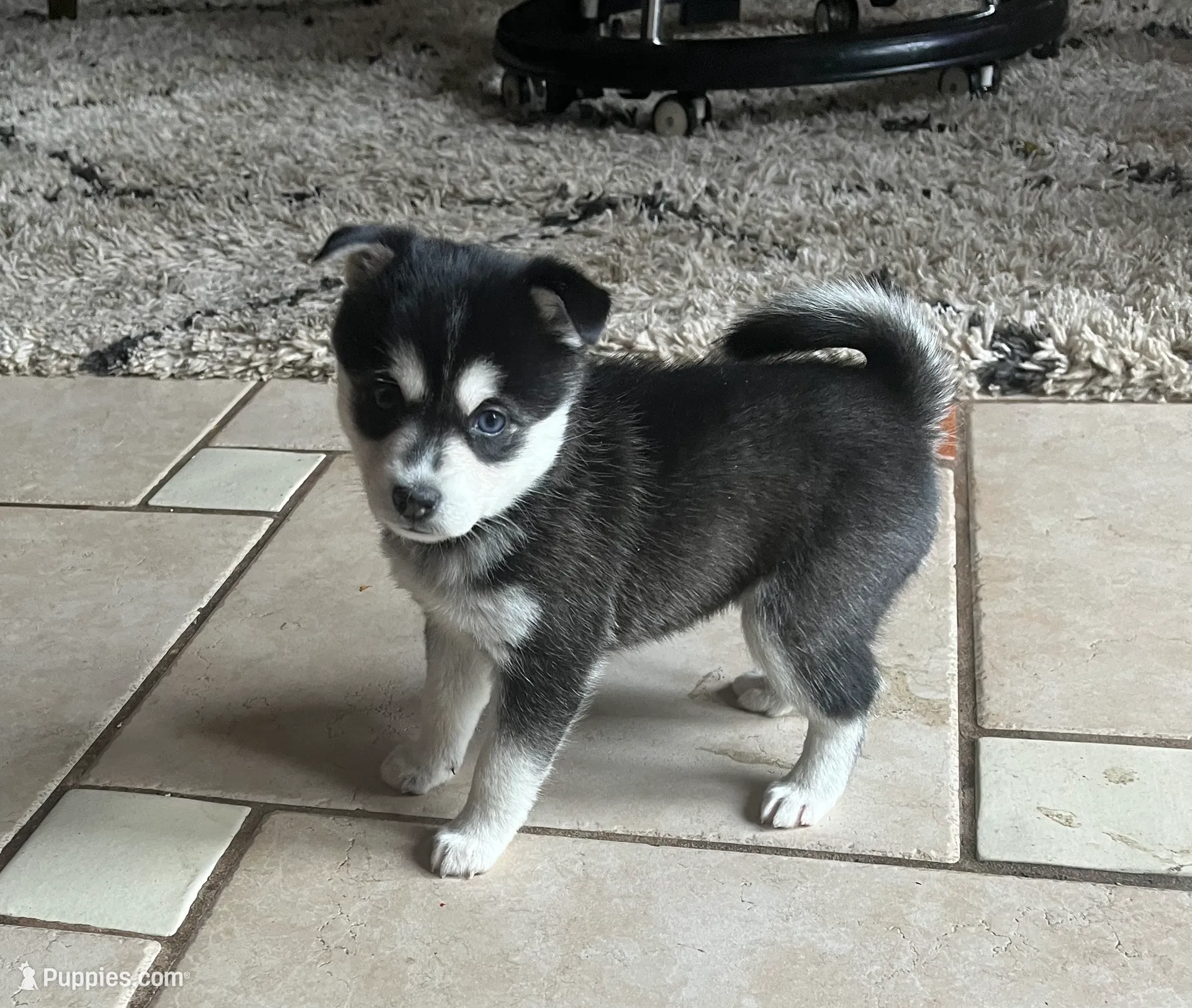 processed/17c80d83-b918-4ecc-9ce6-a0f6e03b704f/listing/27f51fff-e654-4449-8d41-e7d50e8805a8/0a94dc98-622a-4a33-a3d9-b1434fb26561