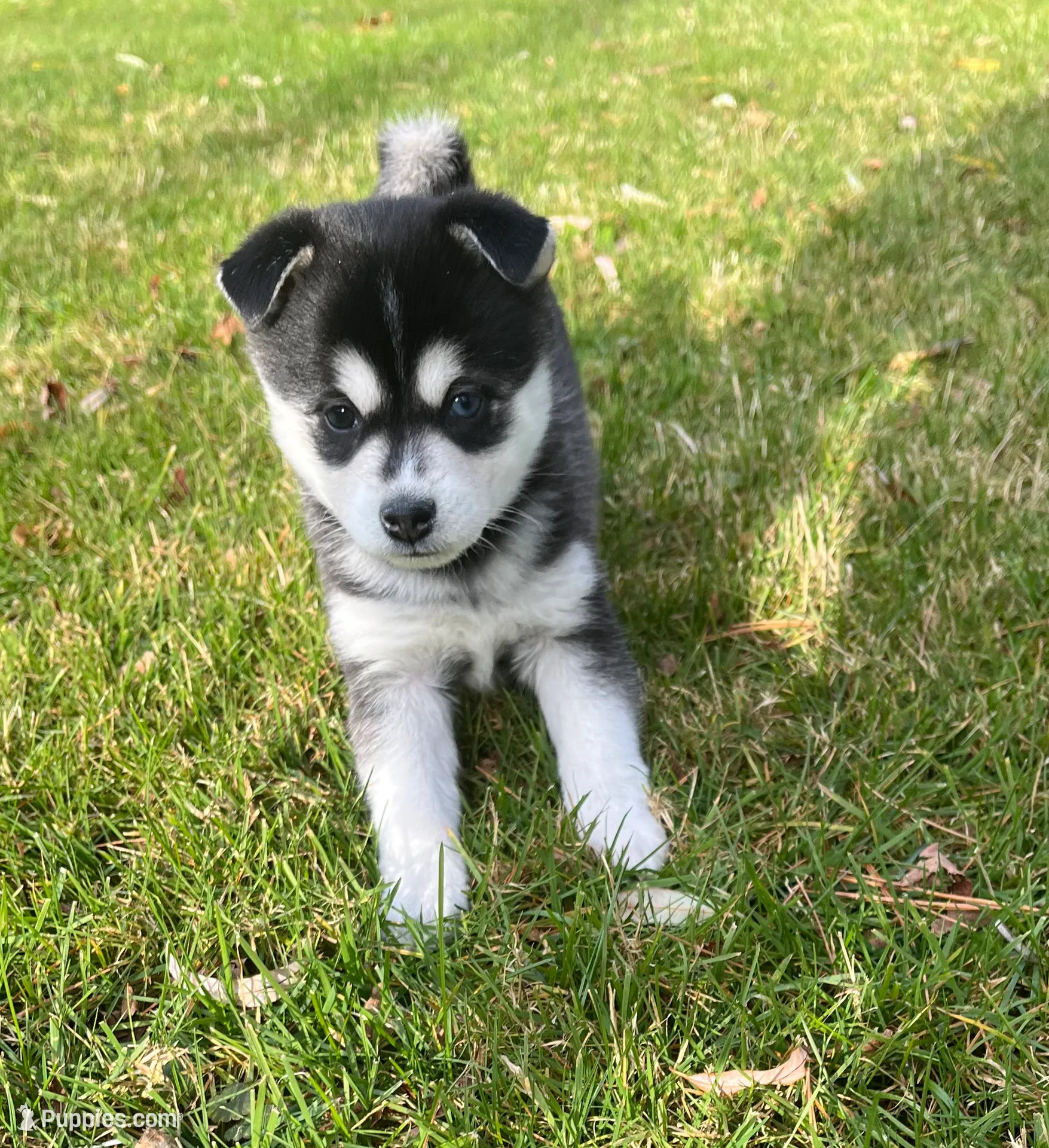 processed/17c80d83-b918-4ecc-9ce6-a0f6e03b704f/listing/27f51fff-e654-4449-8d41-e7d50e8805a8/89c1c66c-12dc-41aa-babd-6e948be1185c