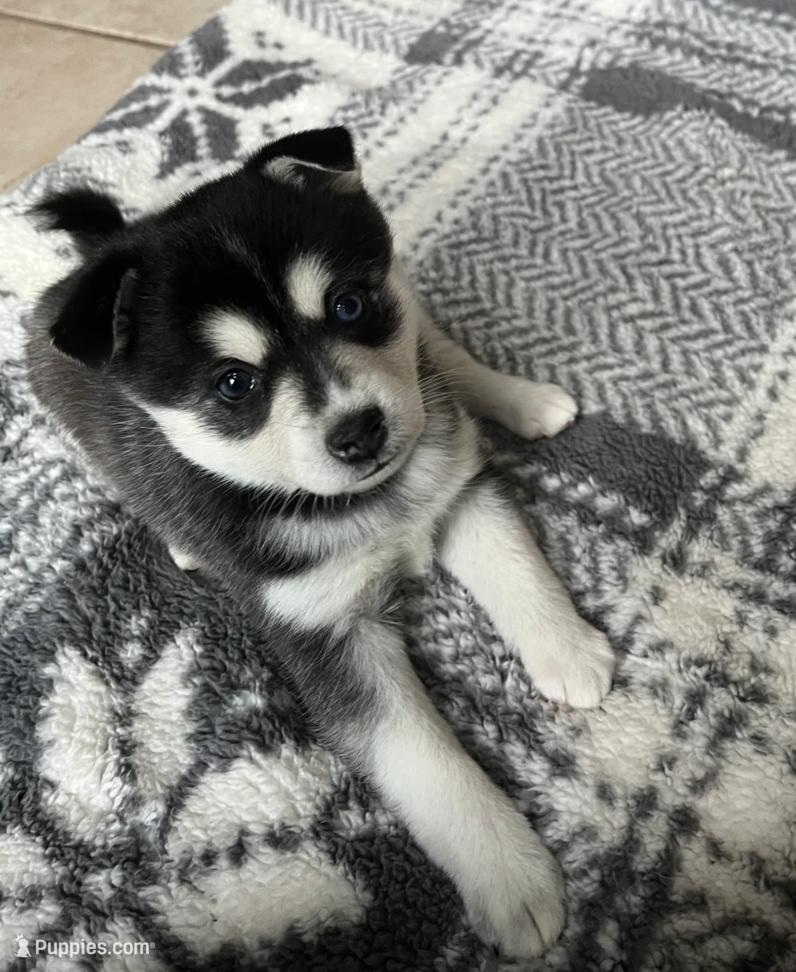 processed/17c80d83-b918-4ecc-9ce6-a0f6e03b704f/listing/27f51fff-e654-4449-8d41-e7d50e8805a8/975197d9-acf7-4eb7-8235-404f678765c1