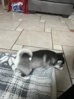 processed/17c80d83-b918-4ecc-9ce6-a0f6e03b704f/listing/c6505e6b-21b8-4c68-9cba-bf0216bfd0fb/00f16f19-ed44-466c-80eb-55ab6d731abf