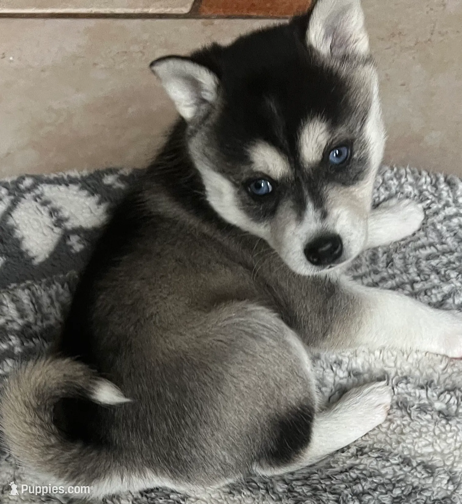 processed/17c80d83-b918-4ecc-9ce6-a0f6e03b704f/listing/c6505e6b-21b8-4c68-9cba-bf0216bfd0fb/70a4479f-c54b-43b7-b034-4bd610a39fc3