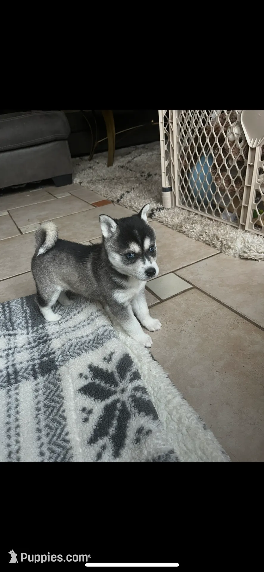 processed/17c80d83-b918-4ecc-9ce6-a0f6e03b704f/listing/c6505e6b-21b8-4c68-9cba-bf0216bfd0fb/732b63dd-0680-4313-9619-bf2dd015f41a