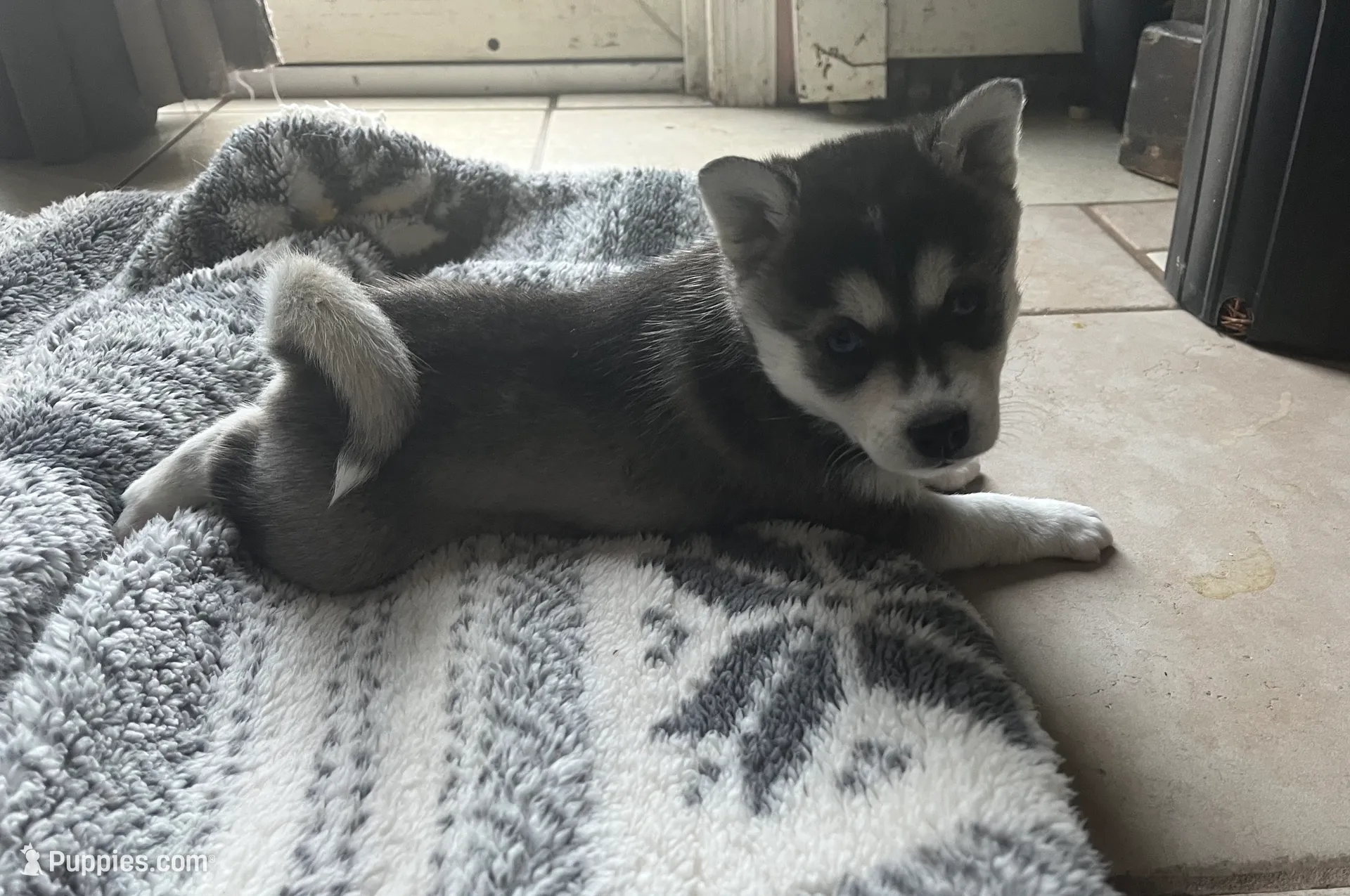 processed/17c80d83-b918-4ecc-9ce6-a0f6e03b704f/listing/c6505e6b-21b8-4c68-9cba-bf0216bfd0fb/81bf93cb-62bc-4eed-a916-7eefdef57589