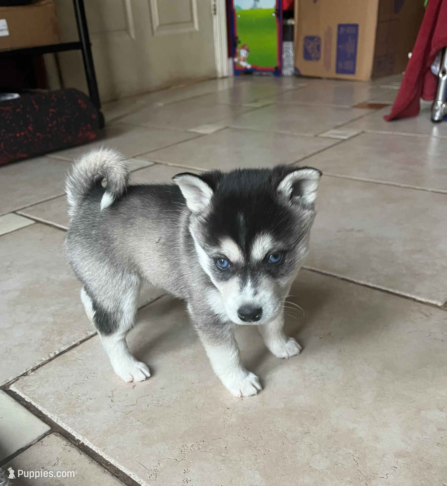 processed/17c80d83-b918-4ecc-9ce6-a0f6e03b704f/listing/c6505e6b-21b8-4c68-9cba-bf0216bfd0fb/a3e64c59-a8d3-475b-90a9-d003e81d44fb