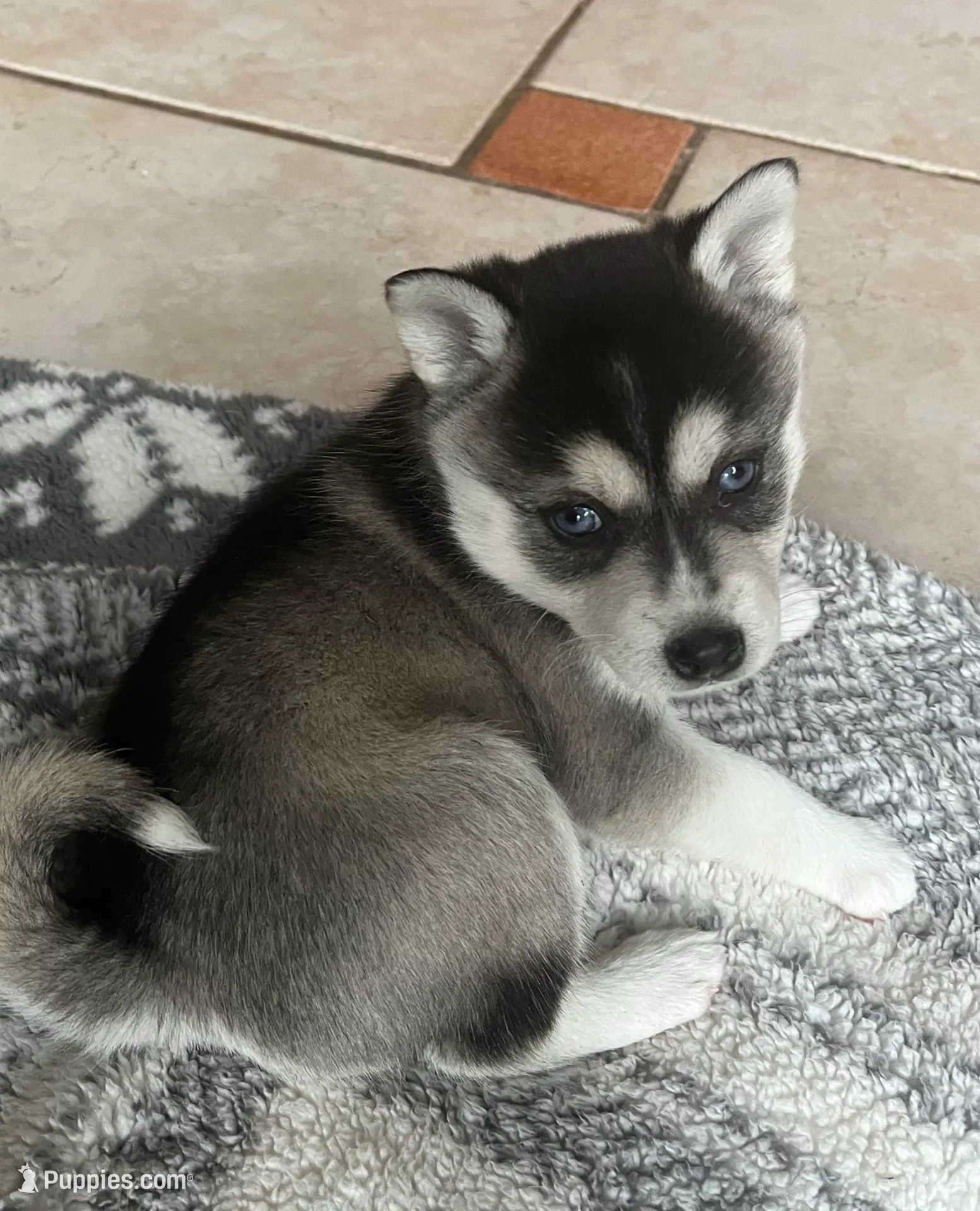 processed/17c80d83-b918-4ecc-9ce6-a0f6e03b704f/listing/c6505e6b-21b8-4c68-9cba-bf0216bfd0fb/ee201995-5ada-457b-a7ec-4611b4694b25