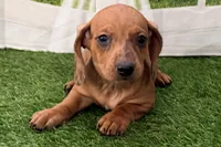 processed/17c98f99-cbbe-4d46-8231-b634a8c9325f/listing/0bfc6026-b206-4b9f-b74b-1cda4135d314/02a7f1be-8754-4ba4-bfa6-04bd6926048a