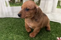 processed/17c98f99-cbbe-4d46-8231-b634a8c9325f/listing/0bfc6026-b206-4b9f-b74b-1cda4135d314/3768939e-a64a-48f6-81b6-adcedafec22d