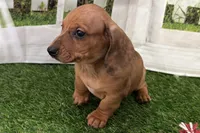 processed/17c98f99-cbbe-4d46-8231-b634a8c9325f/listing/0bfc6026-b206-4b9f-b74b-1cda4135d314/4d2ccc15-c419-45c1-892a-a64ff88aee71