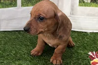 processed/17c98f99-cbbe-4d46-8231-b634a8c9325f/listing/0bfc6026-b206-4b9f-b74b-1cda4135d314/82811a6f-4805-4af1-af1e-46554ee0dcc7