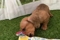 processed/17c98f99-cbbe-4d46-8231-b634a8c9325f/listing/0bfc6026-b206-4b9f-b74b-1cda4135d314/b53c154d-8527-48b4-bd58-dac0214e5fd0