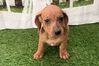 processed/17c98f99-cbbe-4d46-8231-b634a8c9325f/listing/0bfc6026-b206-4b9f-b74b-1cda4135d314/bcc5ef43-a9bb-4b54-80cb-9d0903765693