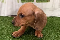 processed/17c98f99-cbbe-4d46-8231-b634a8c9325f/listing/0bfc6026-b206-4b9f-b74b-1cda4135d314/da3f0412-5315-4328-811c-8a84606e5564