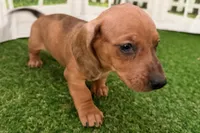 processed/17c98f99-cbbe-4d46-8231-b634a8c9325f/listing/0bfc6026-b206-4b9f-b74b-1cda4135d314/fcebd35c-4513-4b6f-9c47-1be9e0c8560b