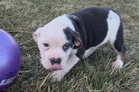 processed/17c98f99-cbbe-4d46-8231-b634a8c9325f/listing/2240fda4-620d-495a-b149-497376f356ef/38edab01-9dee-423a-87ed-e818936ce419