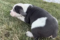 processed/17c98f99-cbbe-4d46-8231-b634a8c9325f/listing/2240fda4-620d-495a-b149-497376f356ef/e417efec-63d8-43a4-bb5f-23b3f7bfb9d7