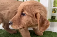 processed/17c98f99-cbbe-4d46-8231-b634a8c9325f/listing/7d034d46-21b4-4bb1-ad42-8eeef95d9903/24f65d19-78c6-45fd-aa68-9be9f47973ae