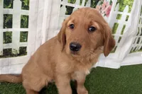 processed/17c98f99-cbbe-4d46-8231-b634a8c9325f/listing/7d034d46-21b4-4bb1-ad42-8eeef95d9903/2d2cde90-aae3-48cd-907a-08443a5456c2