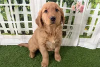 processed/17c98f99-cbbe-4d46-8231-b634a8c9325f/listing/7d034d46-21b4-4bb1-ad42-8eeef95d9903/306709e7-2632-4f7e-be3a-ac905aac8eb0