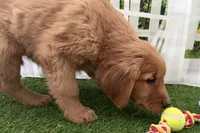 processed/17c98f99-cbbe-4d46-8231-b634a8c9325f/listing/7d034d46-21b4-4bb1-ad42-8eeef95d9903/4864a304-ae55-4664-91ab-3c190a6e87f1