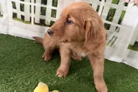 processed/17c98f99-cbbe-4d46-8231-b634a8c9325f/listing/7d034d46-21b4-4bb1-ad42-8eeef95d9903/7702a9af-ec82-49d3-bd7a-a53b688c650e