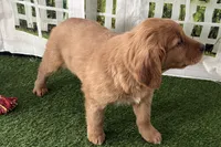 processed/17c98f99-cbbe-4d46-8231-b634a8c9325f/listing/7d034d46-21b4-4bb1-ad42-8eeef95d9903/b0189fe2-9cbc-4096-ad09-ed355c460aa1