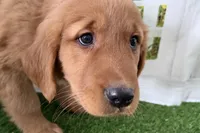 processed/17c98f99-cbbe-4d46-8231-b634a8c9325f/listing/7d034d46-21b4-4bb1-ad42-8eeef95d9903/d33b8687-5dfc-4b3c-8585-7e6e8d414806