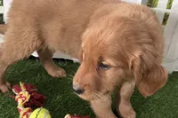 processed/17c98f99-cbbe-4d46-8231-b634a8c9325f/listing/7d034d46-21b4-4bb1-ad42-8eeef95d9903/f0067f0d-3028-4d9b-b157-676d386ede8a