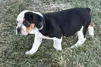 processed/17c98f99-cbbe-4d46-8231-b634a8c9325f/listing/84c45793-c8a1-4020-b04b-7ea2840543c1/3485f1fb-4007-4899-857a-b4fecc456159