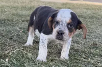 processed/17c98f99-cbbe-4d46-8231-b634a8c9325f/listing/84c45793-c8a1-4020-b04b-7ea2840543c1/4ab68c47-94ec-45c1-9f4d-583356d313fe