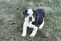 processed/17c98f99-cbbe-4d46-8231-b634a8c9325f/listing/84c45793-c8a1-4020-b04b-7ea2840543c1/6c667a6f-4057-4a3a-8223-066fdef60fff