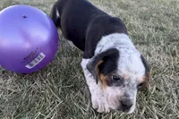 processed/17c98f99-cbbe-4d46-8231-b634a8c9325f/listing/84c45793-c8a1-4020-b04b-7ea2840543c1/8cb5ef5d-1ef2-4705-b479-f624543565fd