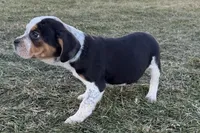 processed/17c98f99-cbbe-4d46-8231-b634a8c9325f/listing/84c45793-c8a1-4020-b04b-7ea2840543c1/bc39e0fb-4c95-4eb5-952b-de28be8b01b7