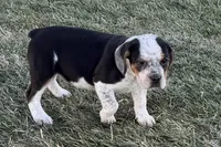 processed/17c98f99-cbbe-4d46-8231-b634a8c9325f/listing/84c45793-c8a1-4020-b04b-7ea2840543c1/d3944574-22ec-4ad6-bca5-514cb7ae537e