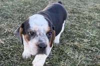 processed/17c98f99-cbbe-4d46-8231-b634a8c9325f/listing/84c45793-c8a1-4020-b04b-7ea2840543c1/e5a68d6a-5538-4d26-8a85-8dd0d0782e2f