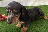 processed/17c98f99-cbbe-4d46-8231-b634a8c9325f/listing/9b970c16-e723-4367-9bb9-975935160e03/03492225-4873-492d-ab2e-7a5c6fca98f8