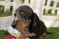 processed/17c98f99-cbbe-4d46-8231-b634a8c9325f/listing/9b970c16-e723-4367-9bb9-975935160e03/20232324-ebf3-40dd-93a3-4e1fdbeed9eb