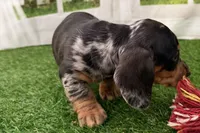 processed/17c98f99-cbbe-4d46-8231-b634a8c9325f/listing/9b970c16-e723-4367-9bb9-975935160e03/8c5ac6b4-e15a-41c9-9c25-01e993d95cc5