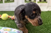 processed/17c98f99-cbbe-4d46-8231-b634a8c9325f/listing/9b970c16-e723-4367-9bb9-975935160e03/97732ef2-59b1-4c9e-9ed7-a01c57e0b354