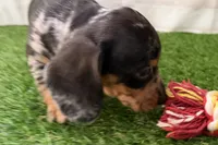 processed/17c98f99-cbbe-4d46-8231-b634a8c9325f/listing/9b970c16-e723-4367-9bb9-975935160e03/dea85661-8f1f-4d55-b5ff-6895a9460358