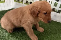 processed/17c98f99-cbbe-4d46-8231-b634a8c9325f/listing/aef62c20-cc57-4e5e-b26d-06729c0c870e/3d4297e4-314f-47a4-925b-3ceadac5abf7