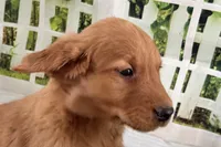 processed/17c98f99-cbbe-4d46-8231-b634a8c9325f/listing/aef62c20-cc57-4e5e-b26d-06729c0c870e/4e4fb5a2-232c-4dca-991f-d33452fefc66