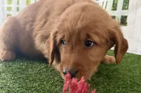 processed/17c98f99-cbbe-4d46-8231-b634a8c9325f/listing/aef62c20-cc57-4e5e-b26d-06729c0c870e/b79fd0d4-e9fa-4b6e-9aca-a22719cf5b23