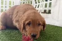 processed/17c98f99-cbbe-4d46-8231-b634a8c9325f/listing/aef62c20-cc57-4e5e-b26d-06729c0c870e/c52a4362-d5e4-4c4a-9618-97b8cbf9e1b5