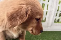 processed/17c98f99-cbbe-4d46-8231-b634a8c9325f/listing/b3b94e7d-5d7a-47f6-a5ba-06af002084ef/3b782153-6aad-41dd-8e06-7cb6af9484dc