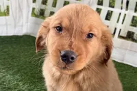 processed/17c98f99-cbbe-4d46-8231-b634a8c9325f/listing/b3b94e7d-5d7a-47f6-a5ba-06af002084ef/4a7bf9ad-2a0d-432b-80c9-95aa4b709397